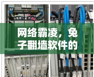 网络霸凌，兔子翻墙软件的生存之道