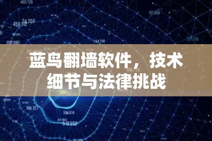 蓝鸟翻墙软件，技术细节与法律挑战