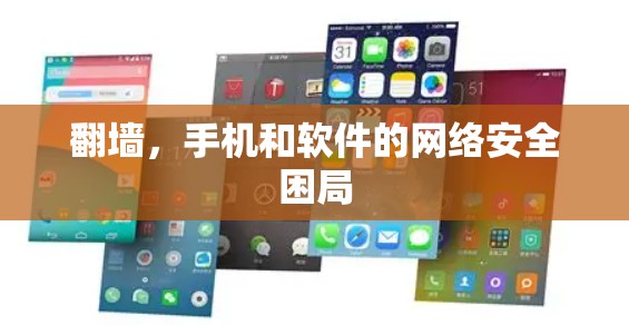 翻墙，手机和软件的网络安全困局