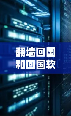 翻墙回国和回国软件在中文中有一些特定的含义，但可能不是大家常用的术语。以下是可能的解释
