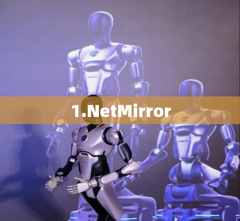 1.NetMirror