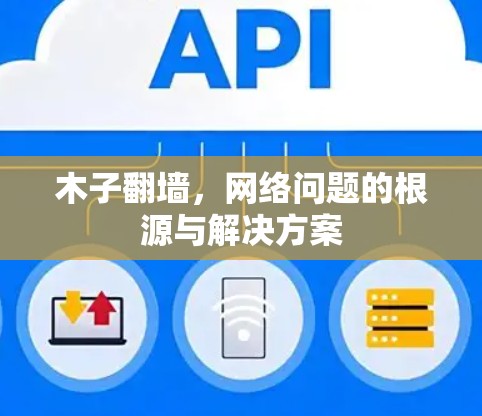 木子翻墙，网络问题的根源与解决方案