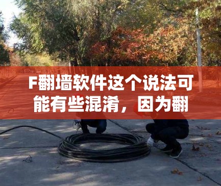 F翻墙软件这个说法可能有些混淆，因为翻墙软件通常是指用于访问国外网络的软件，如NetFilt、NetFilt Plus等。如果您的手机应用被称为F翻墙，可能是指您在使用某个特定的翻墙软件或VPN服务