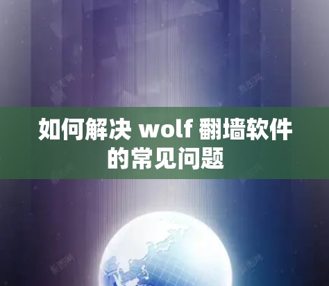 如何解决 wolf 翻墙软件的常见问题