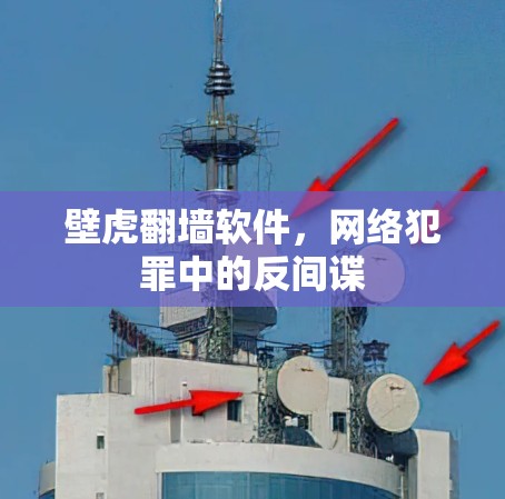 壁虎翻墙软件，网络犯罪中的反间谍
