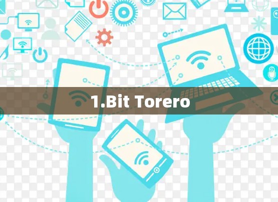 1.Bit Torero
