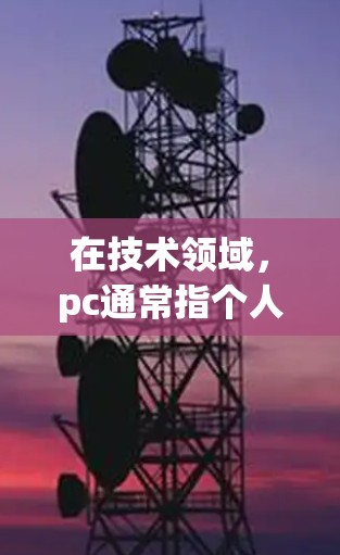 在技术领域，pc通常指个人电脑（Personal Computer）但也可能指网络平台或软件。然而，您提到的pc 翻墙软件可能是指用于网络爬虫或镜像技术的工具。以下是一些常见的翻墙软件及其功能