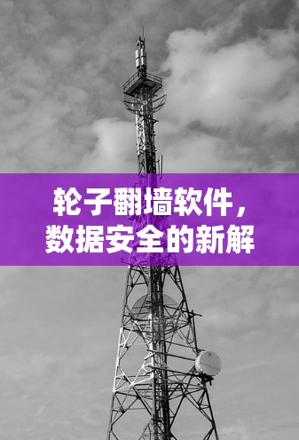 轮子翻墙软件，数据安全的新解决方案