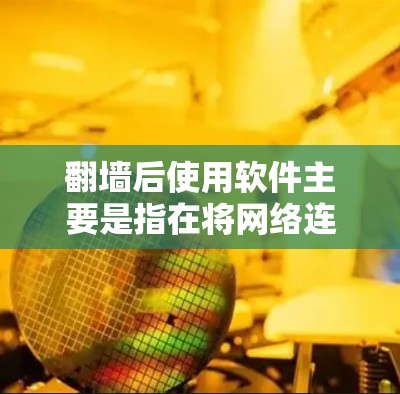 翻墙后使用软件主要是指在将网络连接到外网后，使用特定的工具或软件来管理或操作该网络。这种操作通常涉及网络设备、防火墙、监控软件等，以确保用户能够安全地访问目标网站