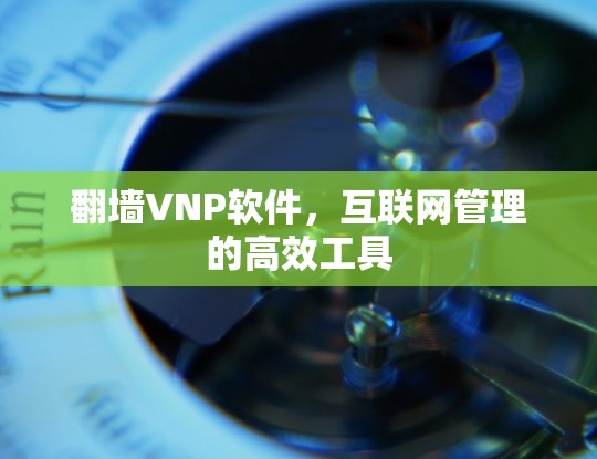 翻墙VNP软件，互联网管理的高效工具
