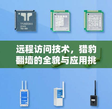 远程访问技术,猎豹翻墙的全貌与应用挑战