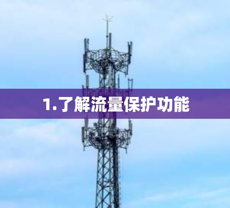 1.了解流量保护功能