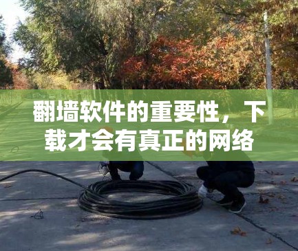 翻墙软件的重要性,下载才会有真正的网络之旅
