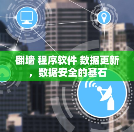 翻墙 程序软件 数据更新，数据安全的基石