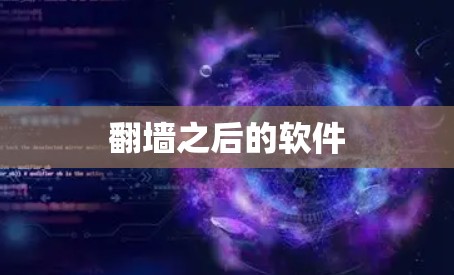 翻墙之后的软件