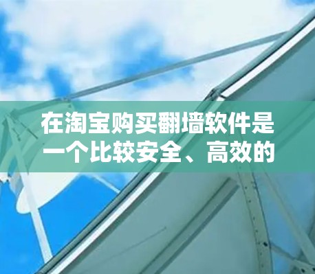 在淘宝购买翻墙软件是一个比较安全、高效的选择，可以利用这些工具获取隐藏的信息或内容，从而更好地进行购物或浏览。以下是一些具体的步骤和建议