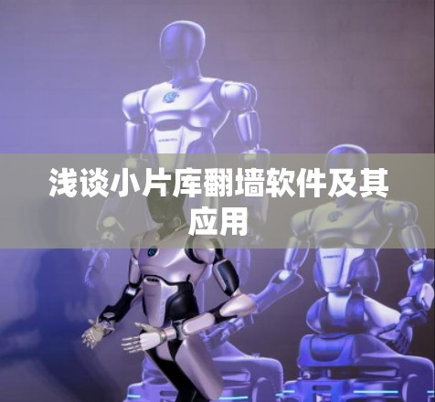 浅谈小片库翻墙软件及其应用