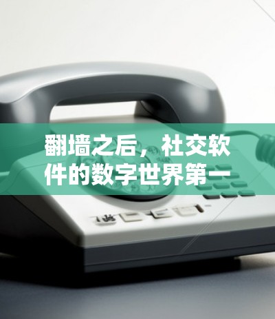 翻墙之后，社交软件的数字世界第一次冒险