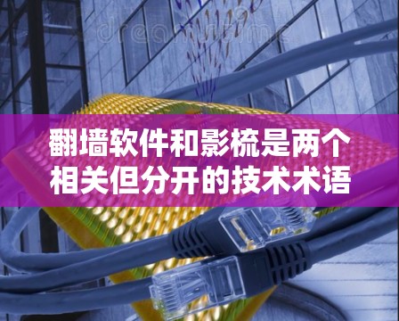 翻墙软件和影梳是两个相关但分开的技术术语，它们在不同的领域中具有不同的用途。以下是对这两个术语的详细解释和结合应用