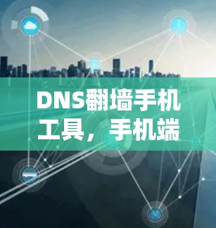 DNS翻墙手机工具，手机端便捷上网新选择