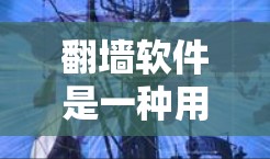 翻墙软件是一种用于隐藏或删除个人电脑上的网络链接(URL)的软件,以保护个人隐私和网络安全。以下是一些常见的翻墙软件及其特点,供您选择