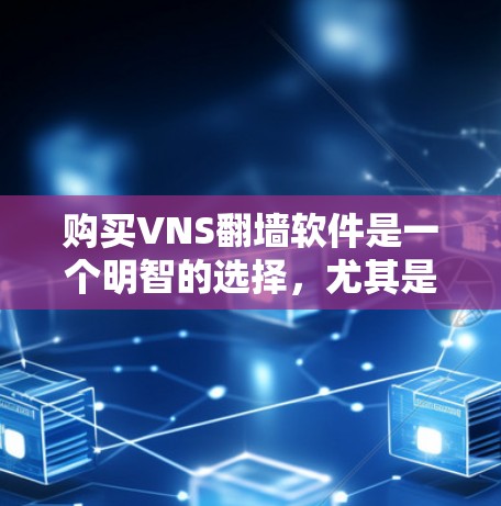 购买VNS翻墙软件是一个明智的选择，尤其是对于手机用户来说，它能够有效管理手机存储空间，减少对手机的依赖。以下是详细的使用步骤和注意事项