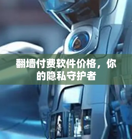 翻墙付费软件价格，你的隐私守护者