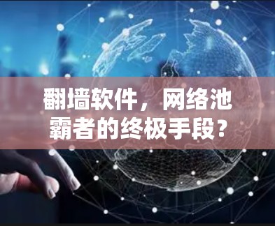 翻墙软件，网络池霸者的终极手段？