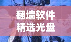 翻墙软件精选光盘,改变通信的未来