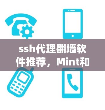 ssh代理翻墙软件推荐，Mint和Netty