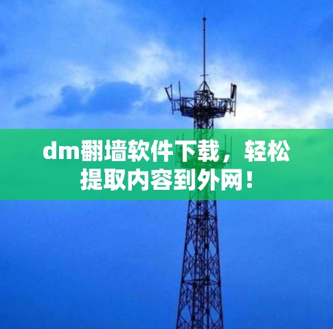 dm翻墙软件下载,轻松提取内容到外网!