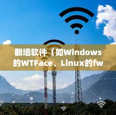翻墙软件(如Windows的WTFace、Linux的fwall工具)主要是用来绕过 fencepost(即网络 fencepost)的。以下是一些常见的翻墙软件及其使用方法,帮助你理解如何翻墙