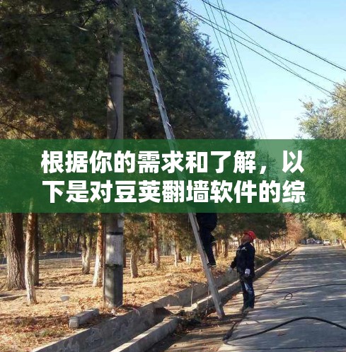 根据你的需求和了解，以下是对豆荚翻墙软件的综合评价