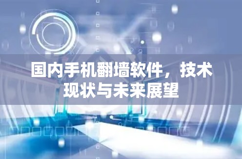 国内手机翻墙软件，技术现状与未来展望