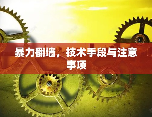 暴力翻墙，技术手段与注意事项