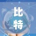 比特币翻墙软件是指用于访问加密货币相关网络或社区的软件工具。这些软件通常通过加密协议或区块链技术来实现对加密货币的访问，但其本质目的是绕过网络或社区的访问限制，例如防火墙或者翻墙技术