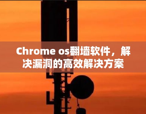 Chrome os翻墙软件，解决漏洞的高效解决方案