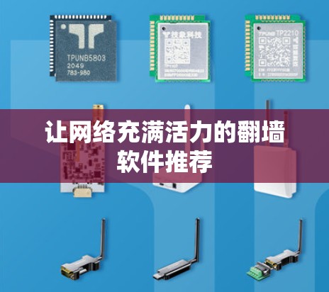 让网络充满活力的翻墙软件推荐 让网络充满活力的翻墙软件推荐