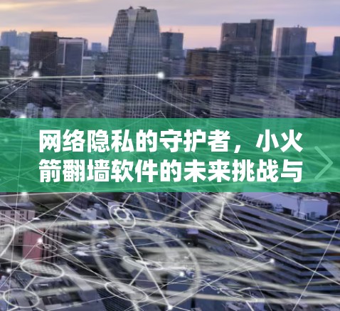 网络隐私的守护者，小火箭翻墙软件的未来挑战与解决方案
