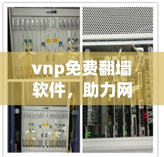vnp免费翻墙软件,助力网络高效管理,推动数字化转型的关键工具