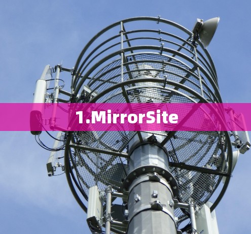 1.MirrorSite