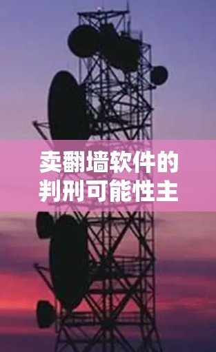 卖翻墙软件的判刑可能性主要取决于具体的违法行为、法律后果以及司法程序。以下是详细的分析