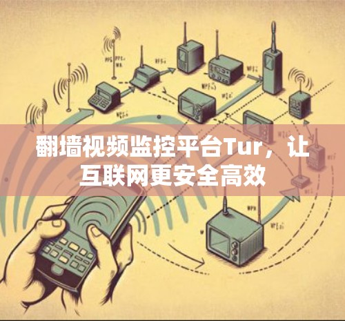 翻墙视频监控平台Tur，让互联网更安全高效