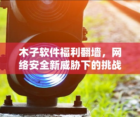 木子软件福利翻墙,网络安全新威胁下的挑战与应对 木子软件福利翻墙,网络安全新威胁下的挑战与应对