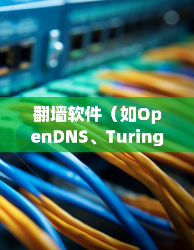 翻墙软件（如OpenDNS、Turing、NetNanny等）主要用于限制某些网站的访问权限，允许用户或机构访问特定网站，而其他网站则被封锁。以下是一些常用翻墙软件及其使用方法