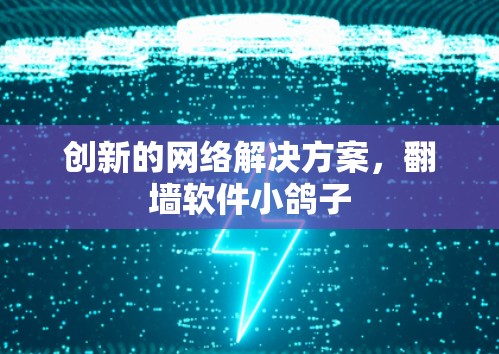 创新的网络解决方案，翻墙软件小鸽子