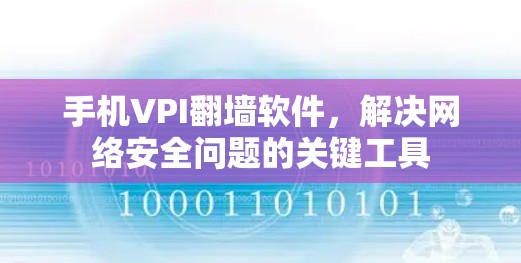 手机VPI翻墙软件,解决网络安全问题的关键工具