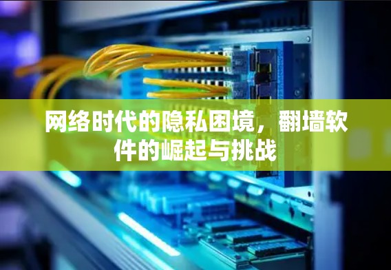 网络时代的隐私困境,翻墙软件的崛起与挑战 网络时代的隐私困境,翻墙软件的崛起与挑战