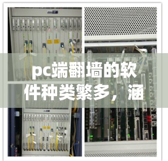 pc端翻墙的软件种类繁多，涵盖了从移动设备到PC端的翻墙需求。以下是几种常见的软件及其特点和适用场景