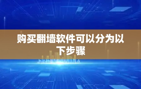 购买翻墙软件可以分为以下步骤